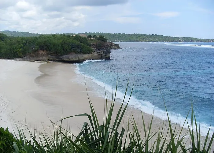 Villa Waru *